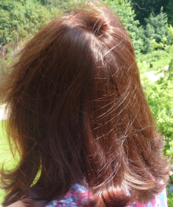 Cheveux 2