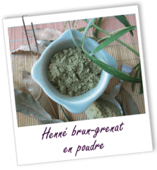 FT_trombone_Coloration_MS_henne-brun-grenat