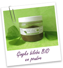 FT_trombone_Extrait-plante_Gingko-biloba-bio-poudre