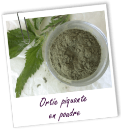 FT_trombone_extrait-plante_MS_ortie