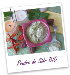 FT_trombone_Extrait-plante_poudre-sidr_BIO