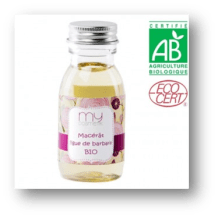 MH Figue de barbarie