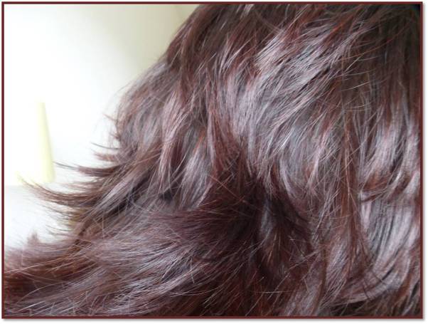 Shampooing poudres lavantes2.png