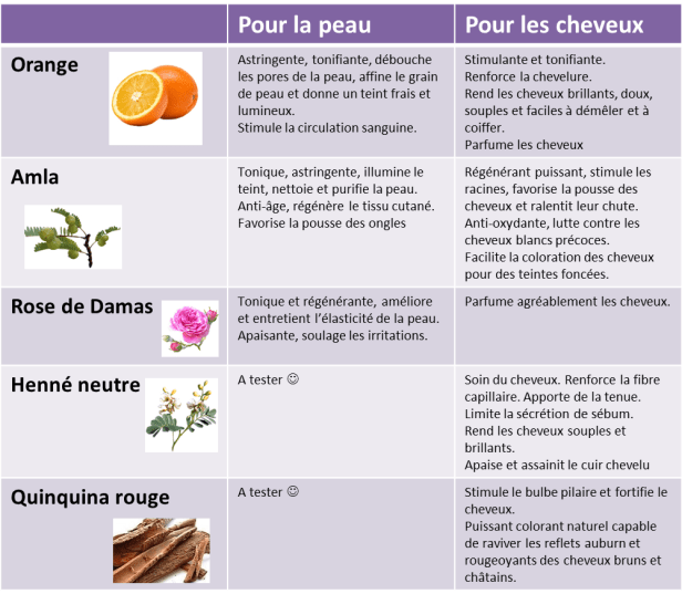 Mélange de poudres précieuses3