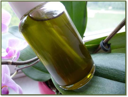 Macérât huileux Amla et Ortie