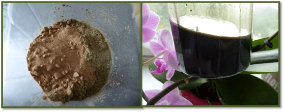 Macérât huileux Amla et Ortie2.jpg