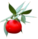 Masque anti cernes et poches2