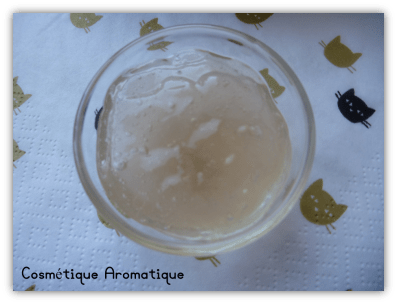 Gelée hydratation intense cheveux