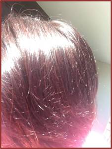 Shampooing force et brillance2.png