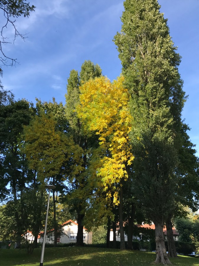 00988B51-819F-43F6-96D5-C3C5C9CCFE8A