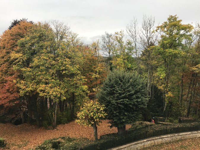 2143C31E-E86F-4A5E-BD4C-EA62E915CA79